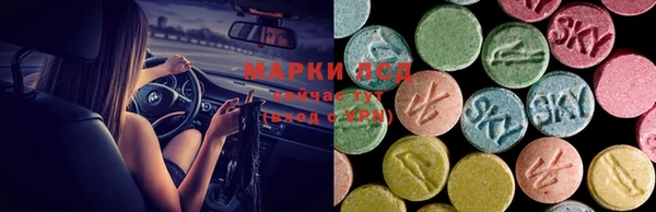 тгк Надым