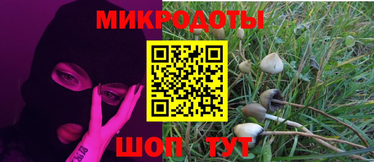 Псилоцибиновые грибы прущие грибы Лиски