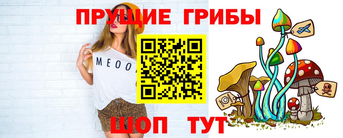 Галлюциногенные грибы Psilocybe Лиски