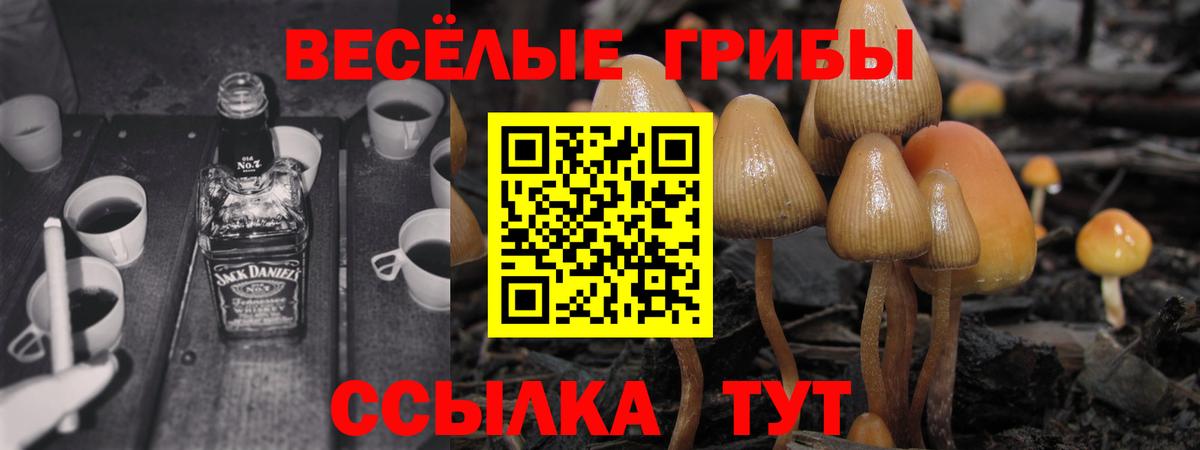 Лиски  Псилоцибиновые грибы Psilocybine cubensis  Вход с VPN  Псилоцибиновые грибы GOLDEN TEACHER 